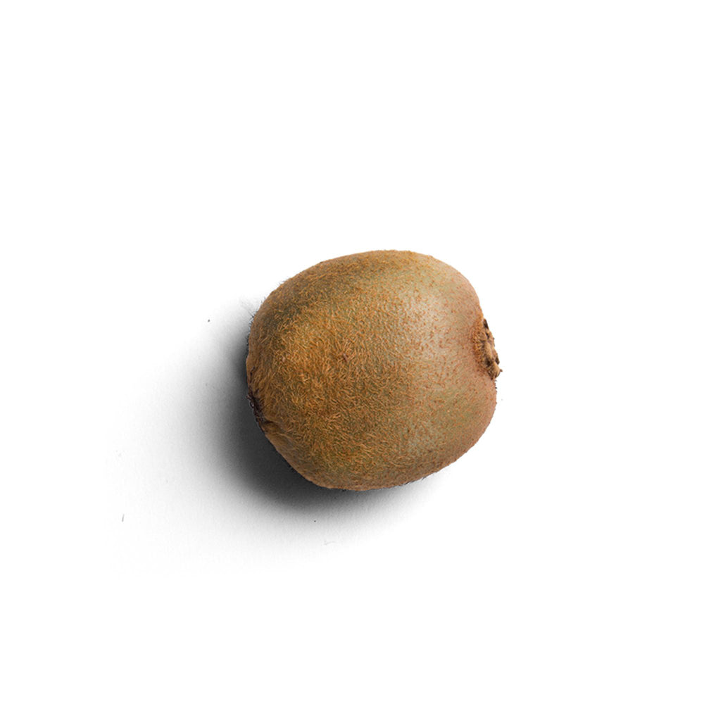 Chico Zapote