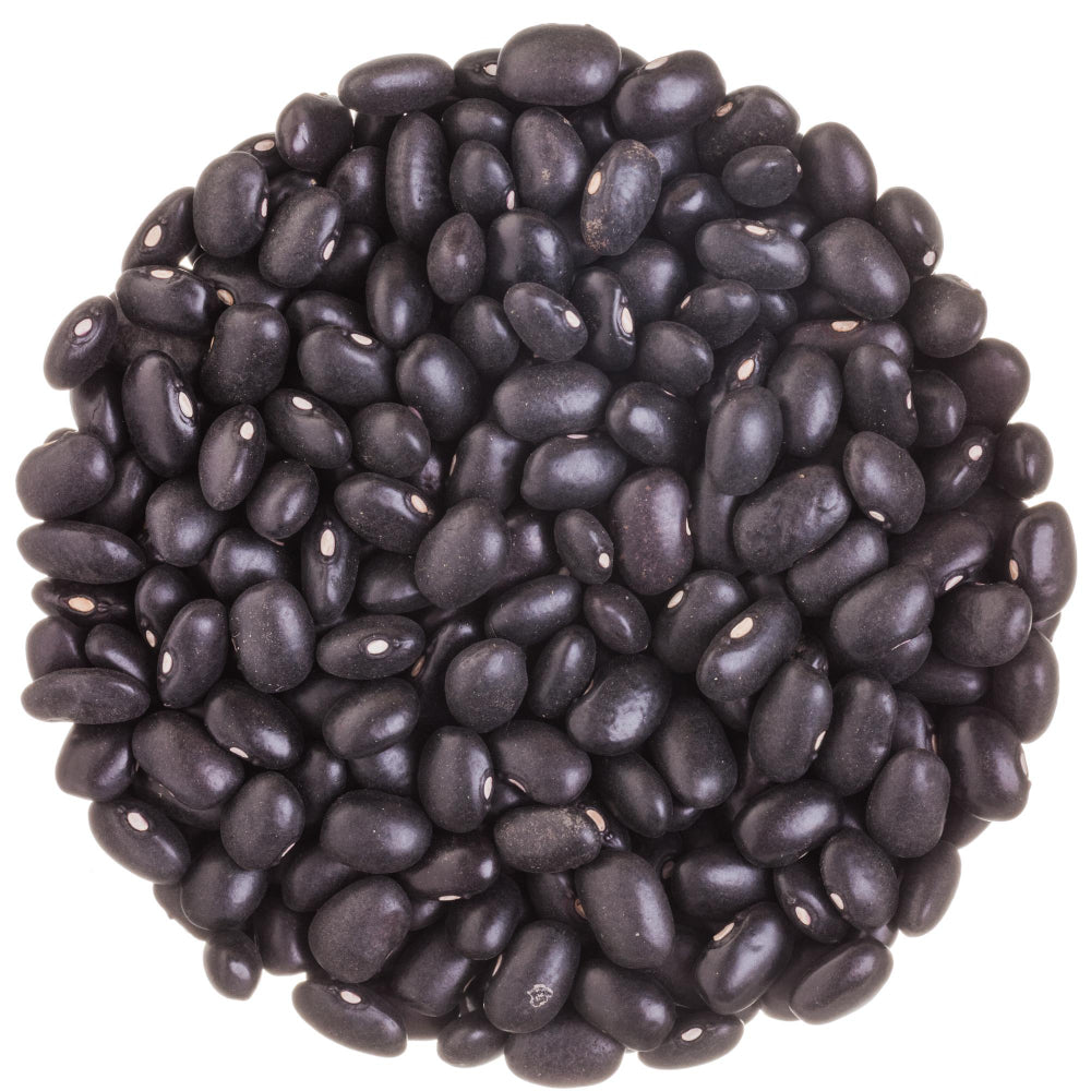 Frijol Negro