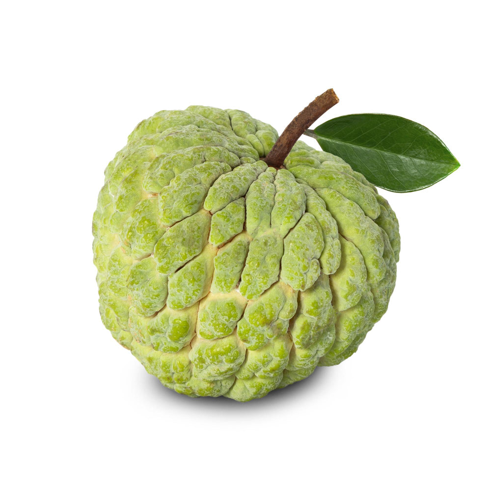 Cherimoya