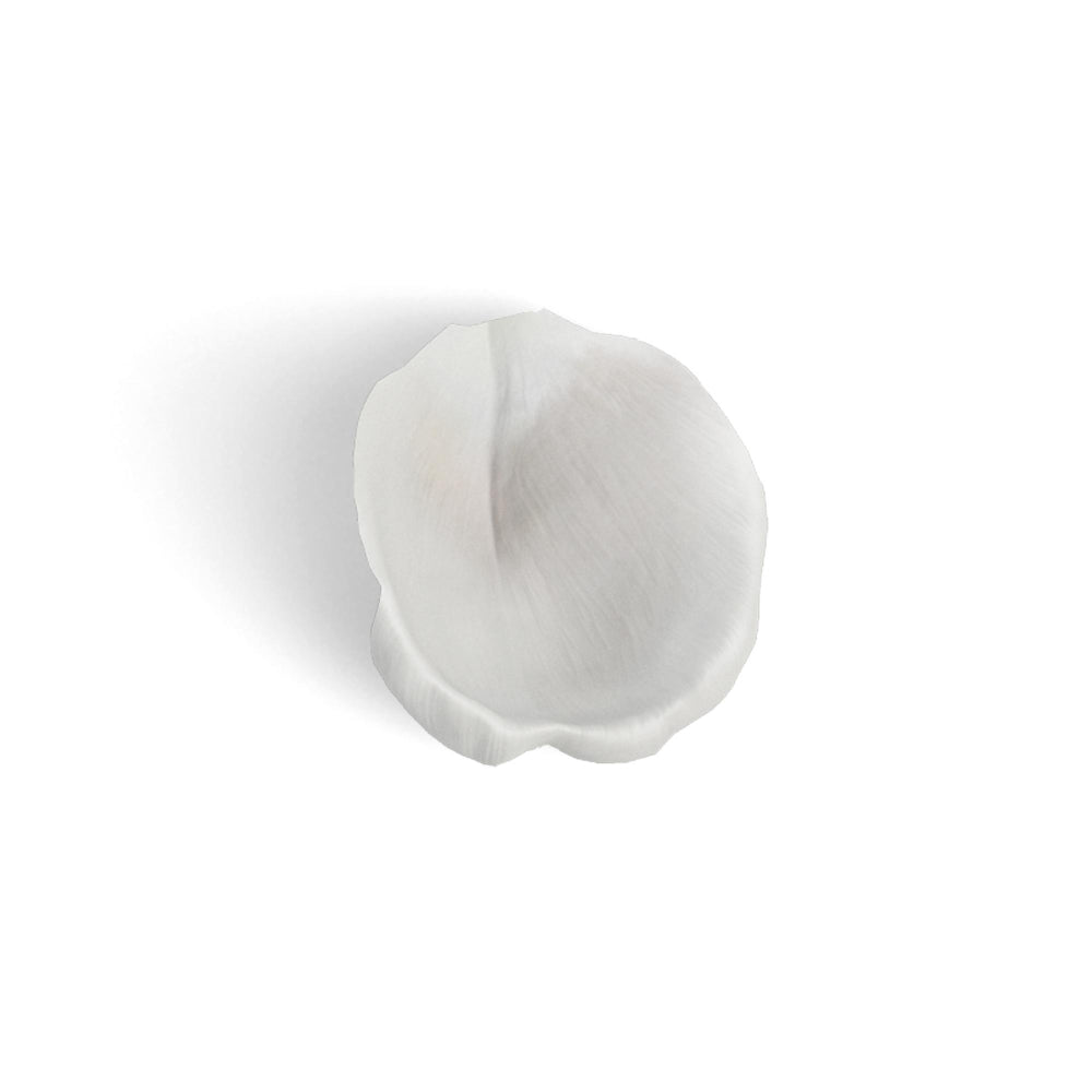 Coco Blanco