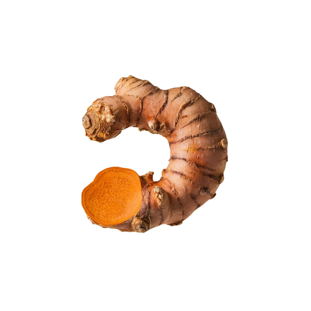Curcuma/Tumeric