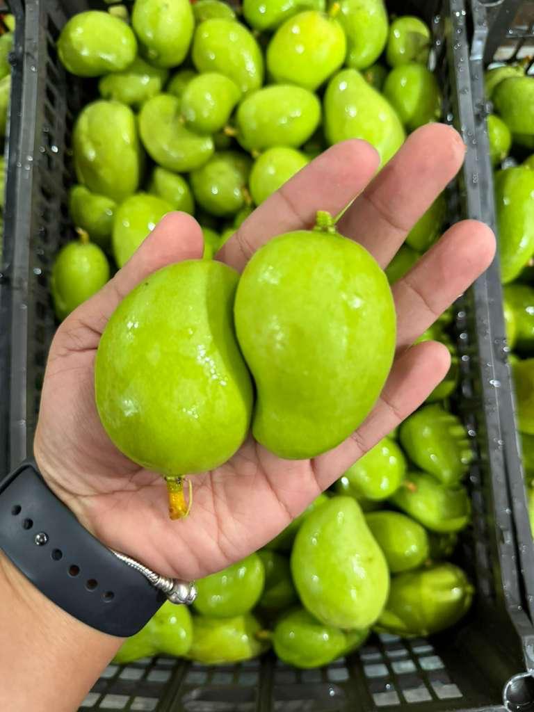 Frutas Tropicales y Exóticas