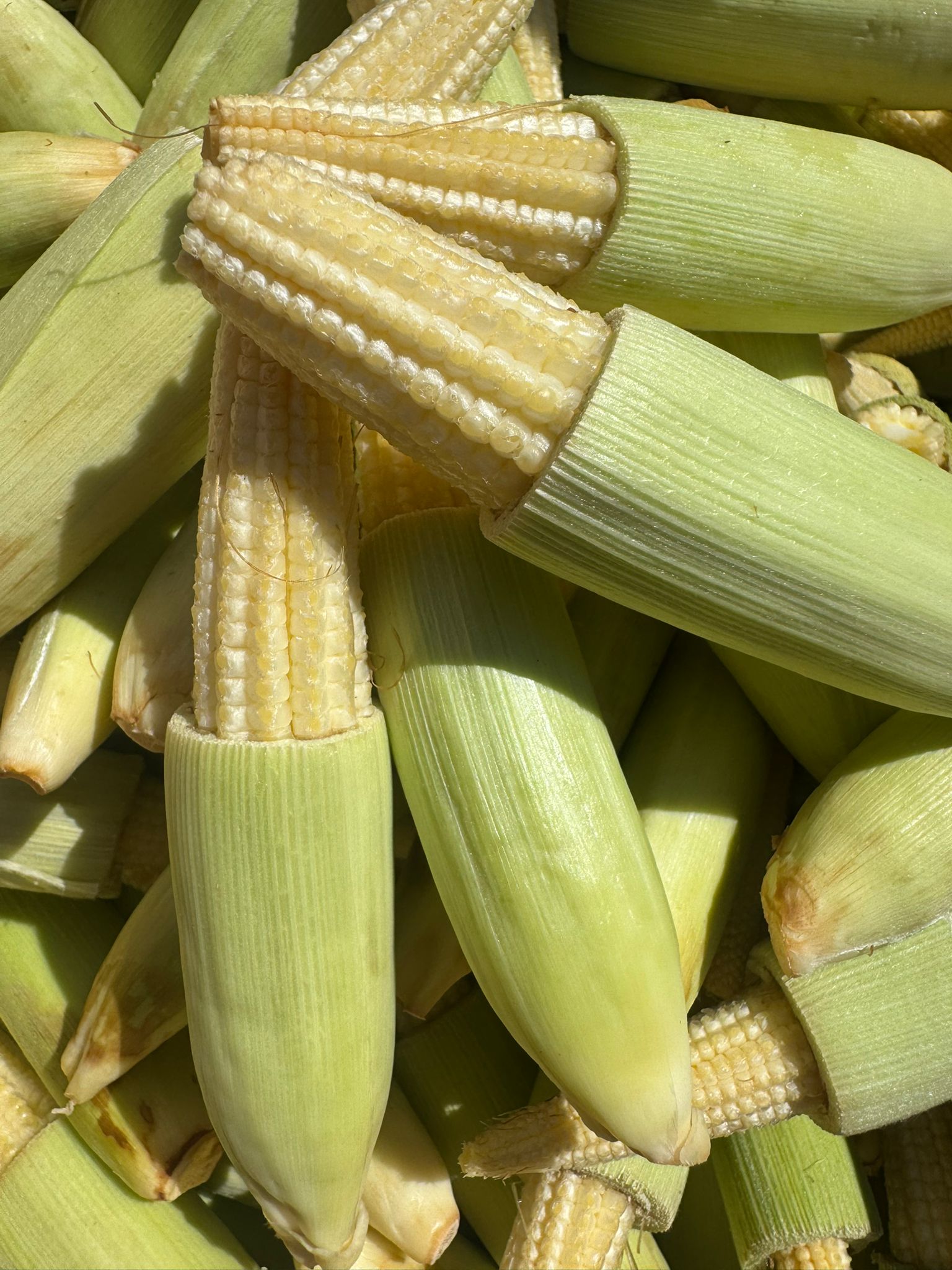 Productos Centroamericanos