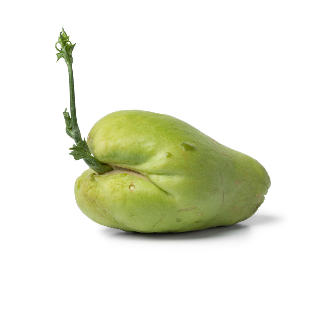 Chayote con Espinas