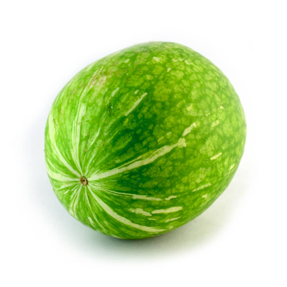 Chilacayota/Fig Gourd