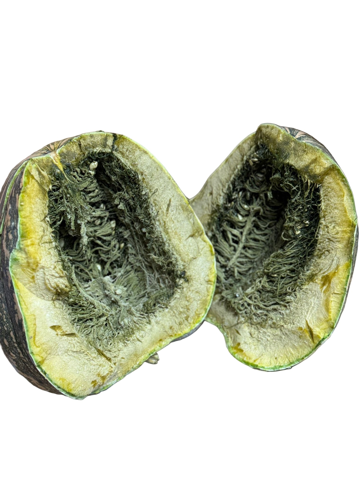 Ayote Negro (Guatemala)