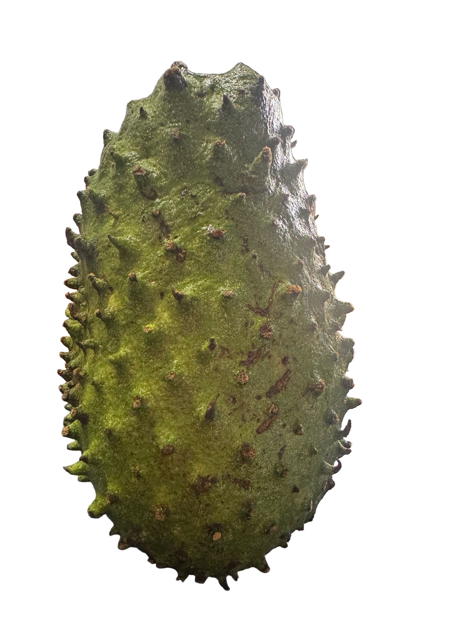 guanabana
